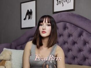 EvaBrix