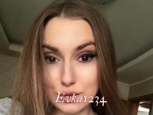 Evka1234