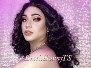 ExoticBunnyTS