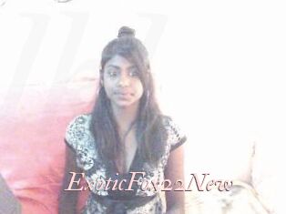ExoticFox22New
