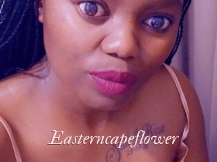 Easterncapeflower