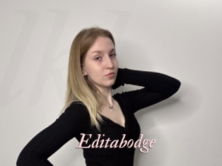 Editabodge