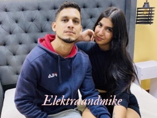 Elektraandmike