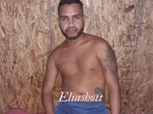 Eliashott
