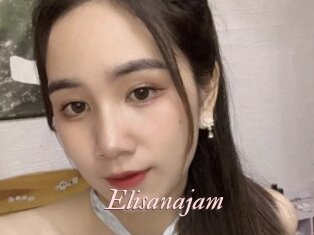 Elisanajam