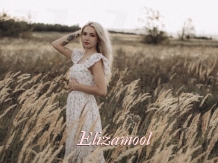 Elizamool