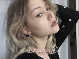 Elvacherie