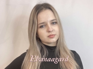 Elvinaagard