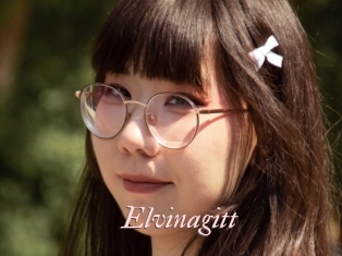 Elvinagitt