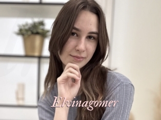 Elvinagomer