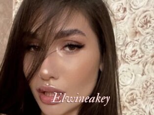 Elwineakey