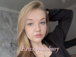 Elwinedanbury
