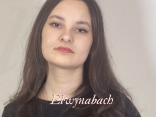 Elwynabach