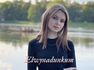 Elwynadunkum