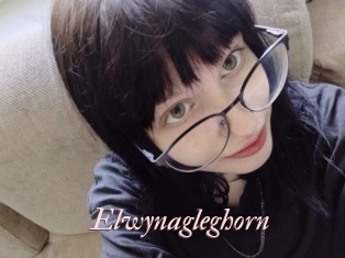 Elwynagleghorn