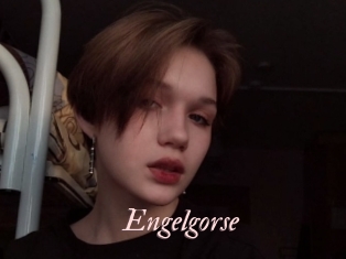 Engelgorse