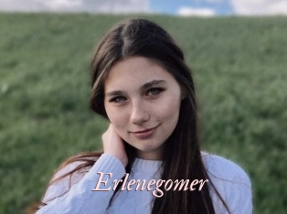 Erlenegomer