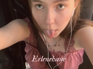 Erlenehane