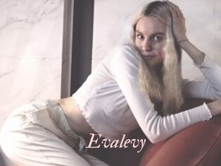Evalevy
