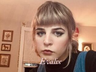 Evalix