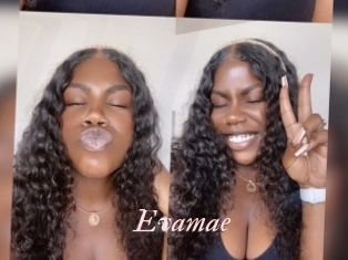 Evamae