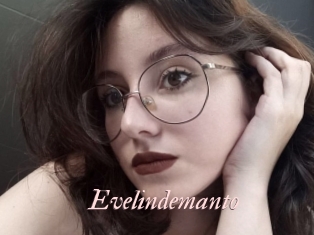 Evelindemanto