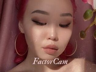 FactorCam