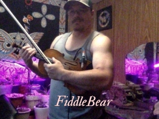FiddleBear