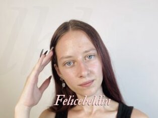 Felicebeldin