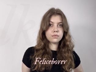 Feliceborer