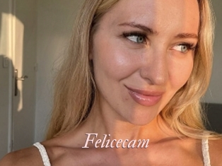 Felicecam