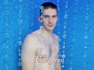 Felixgunn