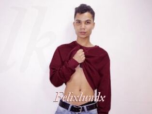 Felixlundx