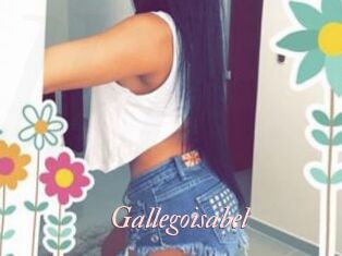 Gallegoisabel