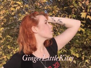 GingerLittleKitty
