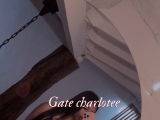Gate_charlotee