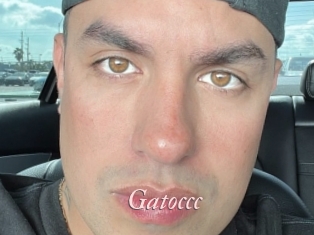 Gatoccc
