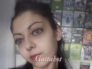 Gattahot