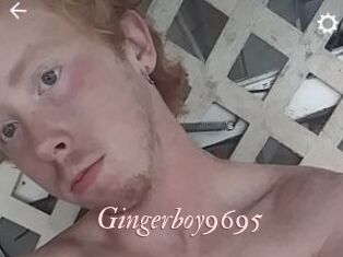 Gingerboy9695