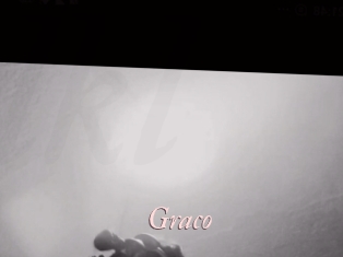 graco Leukelol