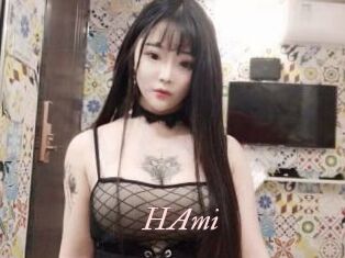 HAmi