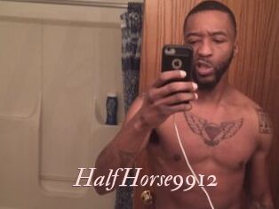 HalfHorse9912