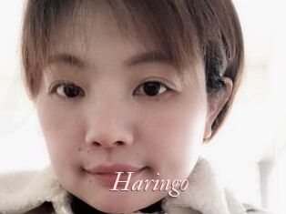 Haringo