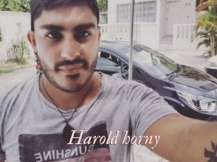 Harold_horny Leukelol