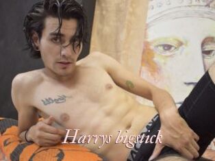 Harrys_bigstick Leukelol