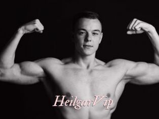 HeilgarVip