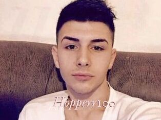 Hopperr100