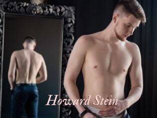 Howard_Stein