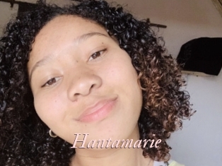 Hantamarie