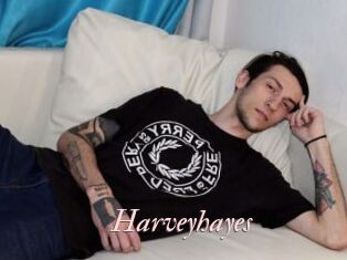 Harveyhayes